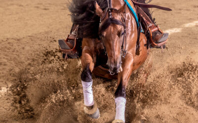 SUMMARY BOOKING FORM FOR WORLD REINING & CS CLASSIC 2023